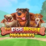 the dog house